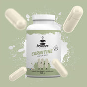 Carnitina 